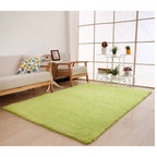 Plush Area Rug Long Pile Cashmere-Like Non-Slip Backing