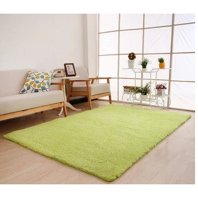 Plush Area Rug Long Pile Cashmere-Like Non-Slip Backing