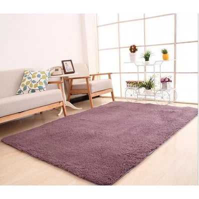 Plush Area Rug Long Pile Cashmere-Like Non-Slip Backing