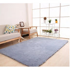 Plush Area Rug Long Pile Cashmere-Like Non-Slip Backing