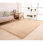 Plush Area Rug Long Pile Cashmere-Like Non-Slip Backing