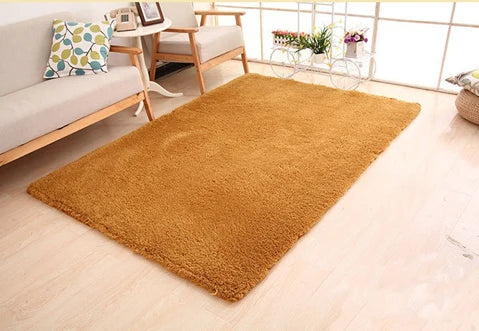 Plush Area Rug Long Pile Cashmere-Like Non-Slip Backing