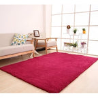 Plush Area Rug Long Pile Cashmere-Like Non-Slip Backing