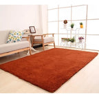 Plush Area Rug Long Pile Cashmere-Like Non-Slip Backing