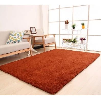 Plush Area Rug Long Pile Cashmere-Like Non-Slip Backing