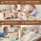 Plush Bear Voice-Activated & Gentle Movement