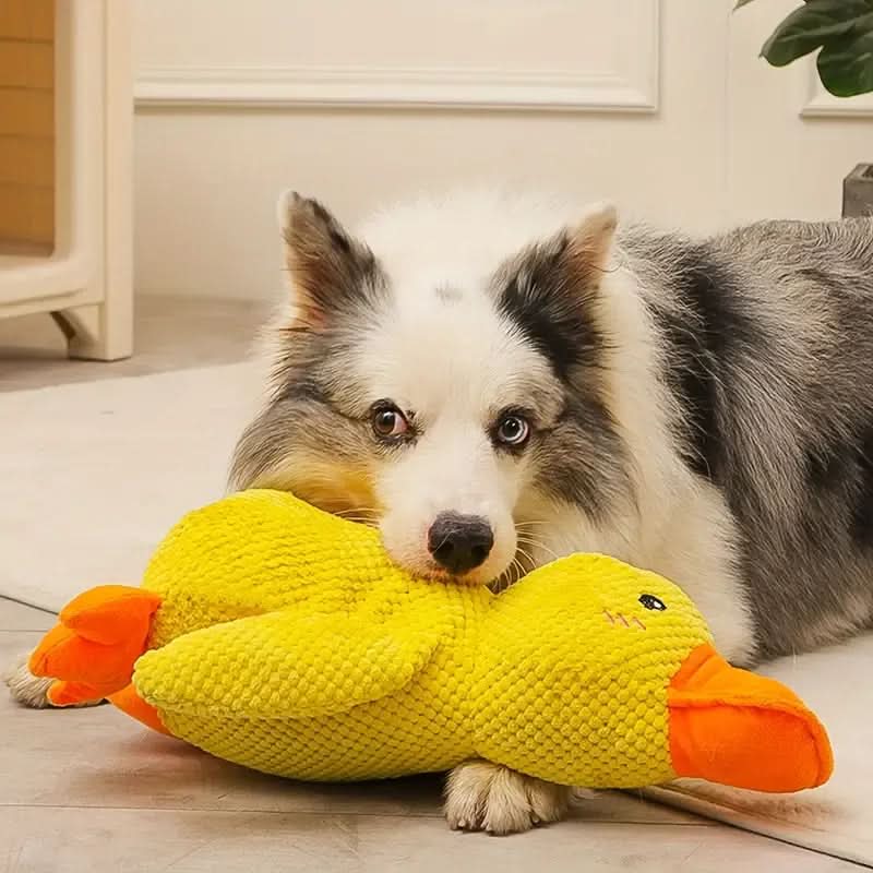 Plush Dog Toy Quacking Sound Lightweight Machine Washable
