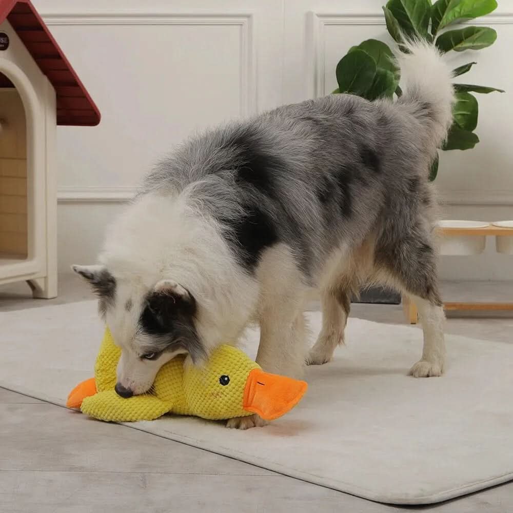 Plush Dog Toy Quacking Sound Lightweight Machine Washable