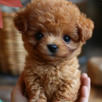 Plush Dog Toy Realistic Walking & Barking