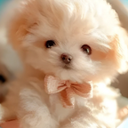 Plush Dog Toy Realistic Walking & Barking