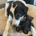 Plush Dog Toy Soft & Lightweight No Squeaker