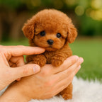 Plush Puppy Interactive Walking & Barking Quiet Operation
