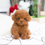 Plush Puppy Lifelike Hand-Sculpted Details Weighted Fill