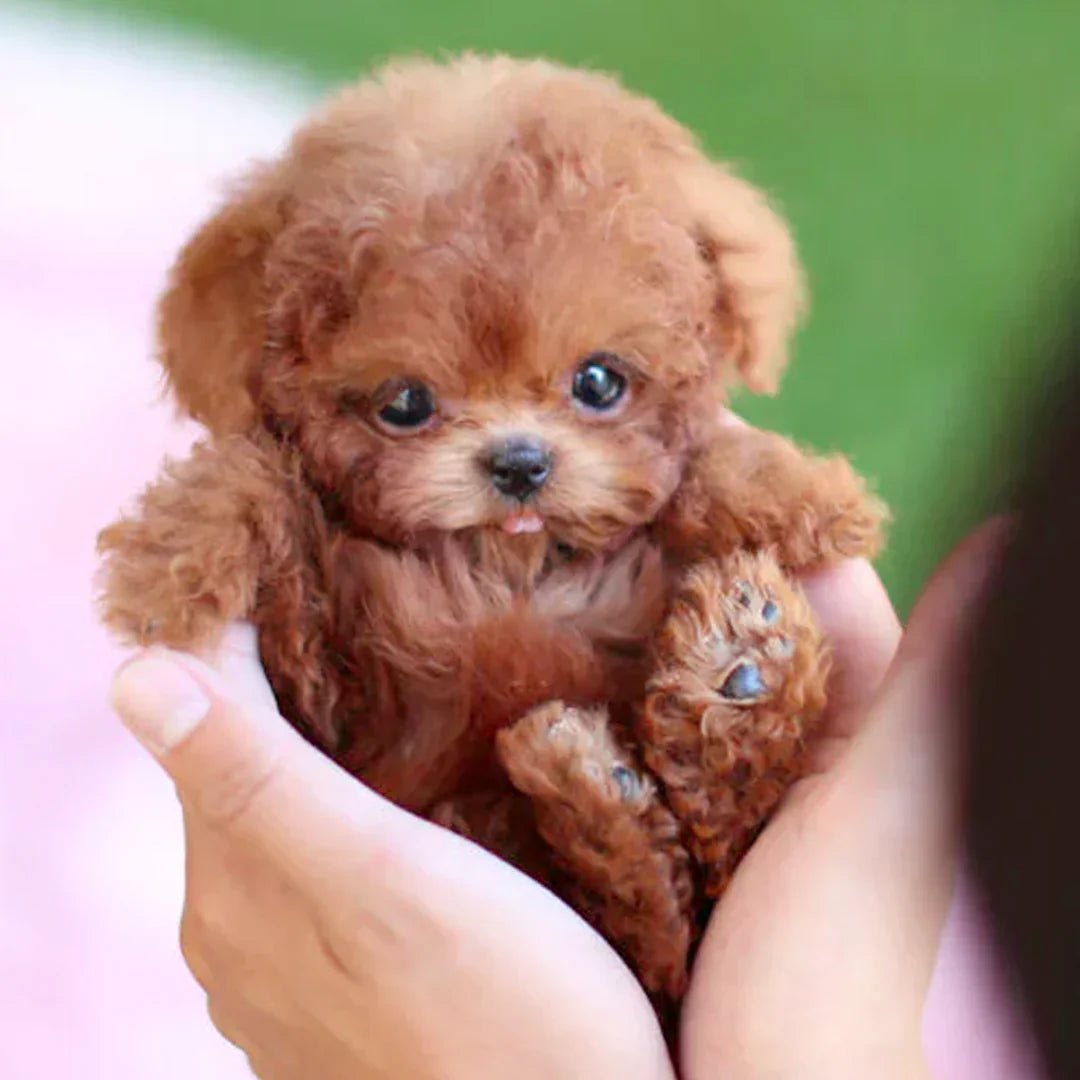 Plush Puppy Lifelike Motion Touch Responsive Battery Operated