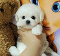 Plush Puppy Weighted Lifelike Soft Synthetic Fur 14 Inch