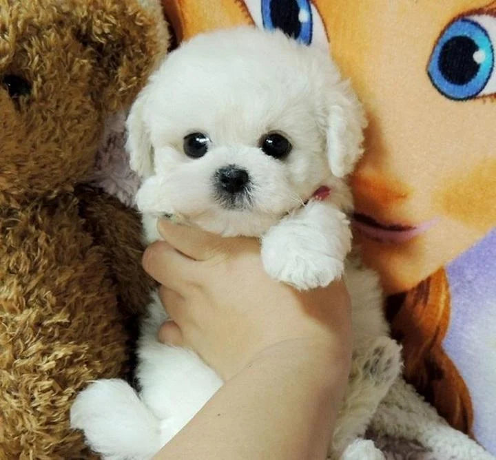 Plush Puppy Weighted Lifelike Soft Synthetic Fur 14 Inch
