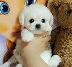 Plush Puppy Weighted Lifelike Soft Synthetic Fur 14 Inch