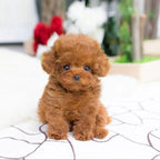 Plush Puppy Weighted Lifelike Soft Synthetic Fur 14 Inch