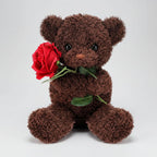 Plush Teddy Bear 30cm Fabric Rose Washable