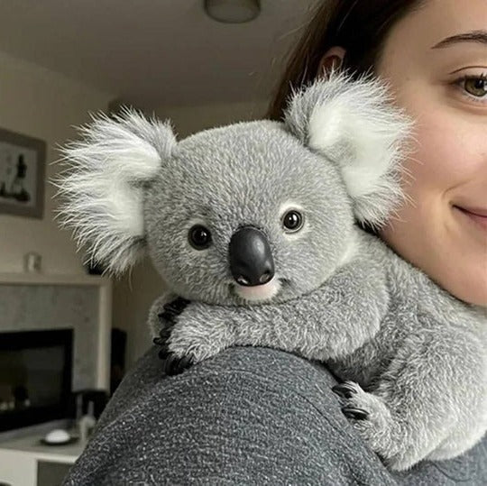 Plush Toy Koala Evenly Weighted Contoured Portable