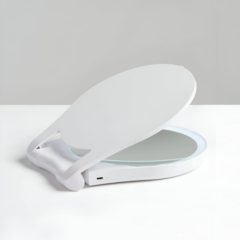 Portable Makeup Mirror 10X Magnification LED Lights USB Rechargeable