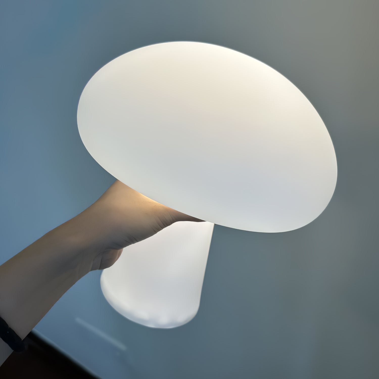 Portable Rechargeable Touch Dimmable Mushroom Table Lamp