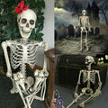 Poseable Skeleton Movable Joints Weather-Resistant
