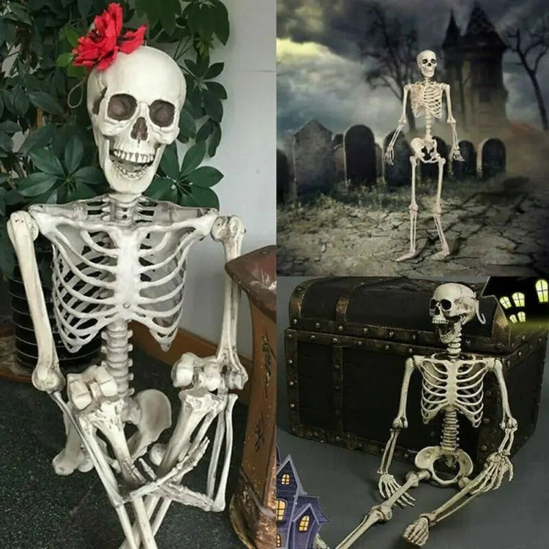 Poseable Skeleton Movable Joints Weather-Resistant