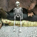 Poseable Skeleton Movable Joints Weather-Resistant