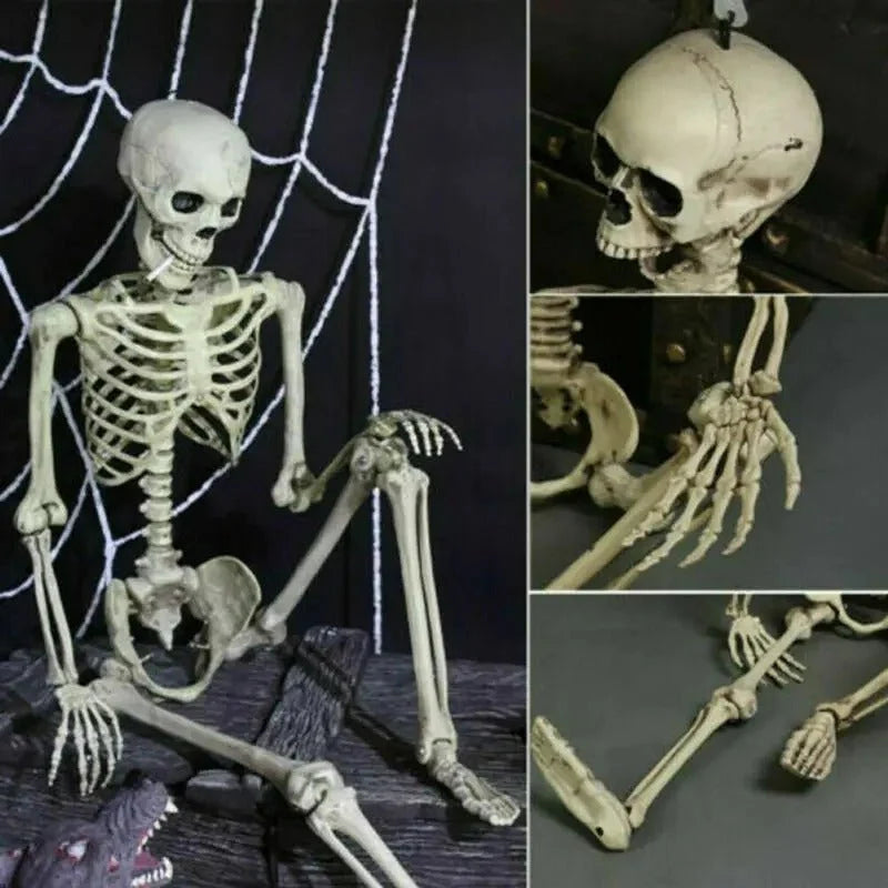 Poseable Skeleton Movable Joints Weather-Resistant