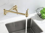 Pot Filler Wall-Mounted Brass Double-Handle