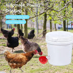 Poultry Waterer Self-Refilling Polypropylene 10 Pack