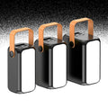 Power Bank Multi-Port & Fast Charging Up To 80000 mAh