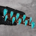 Press-On Nail Set Acrylic Sharp Stiletto & Claw