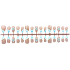 Press-On Nail Set Floral Design Includes Glue