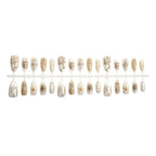 Press-On Nail Set Floral & Metallic Designs Strong Adhesive