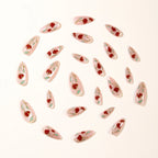 Press-On Nail Set Stiletto Floral White