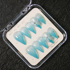 Press-On Nails Stiletto Floral Pre-Applied Adhesive