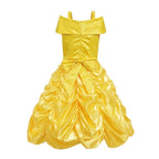Princess Ball Gown Tulle Skirt & Lace Bodice