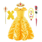 Princess Ball Gown Tulle Skirt & Lace Bodice