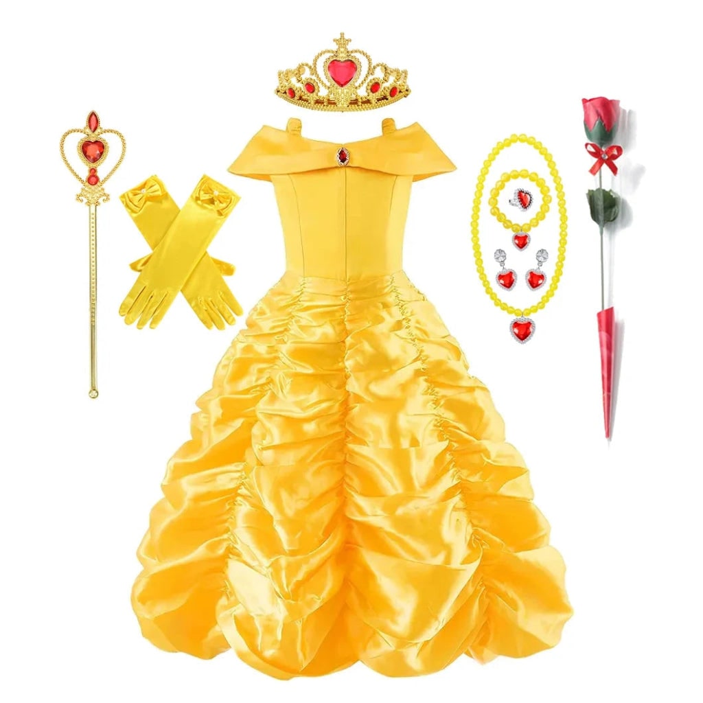 Princess Ball Gown Tulle Skirt & Lace Bodice
