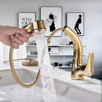 Pull-Out Shower Faucet 360° Swivel Adjustable Height Dual Modes