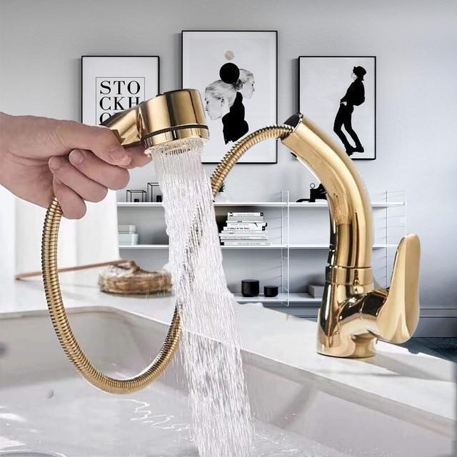 Pull-Out Shower Faucet 360° Swivel Adjustable Height Dual Modes