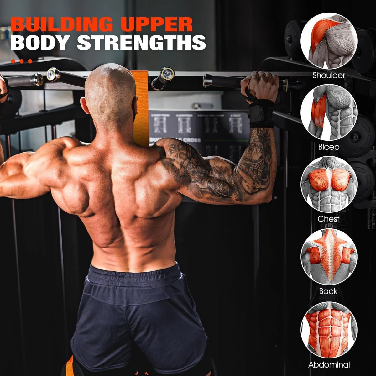 Pull-Up Assist Band Double-Foot Support & Reinforced Steel Hooks