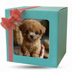Puppy Toy Walking & Barking Voice & Touch Responsive