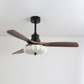 Quiet DC Motor & Warm LED Ceiling Fan Light