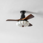 Quiet DC Motor & Warm LED Ceiling Fan Light