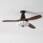 Quiet DC Motor & Warm LED Ceiling Fan Light