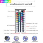 RGB LED Light Strip Cuttable Color-Changing 44-Key Remote