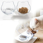 Raised Cat Bowl Ergonomic 15° Slope Whisker-Friendly